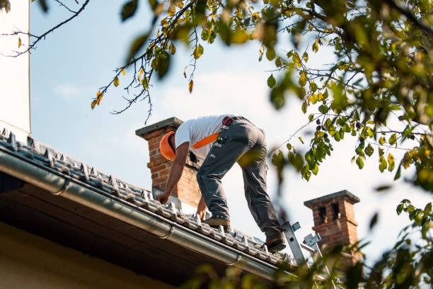 Gutter Installation and Roofing in Zephyrhills West, FL
