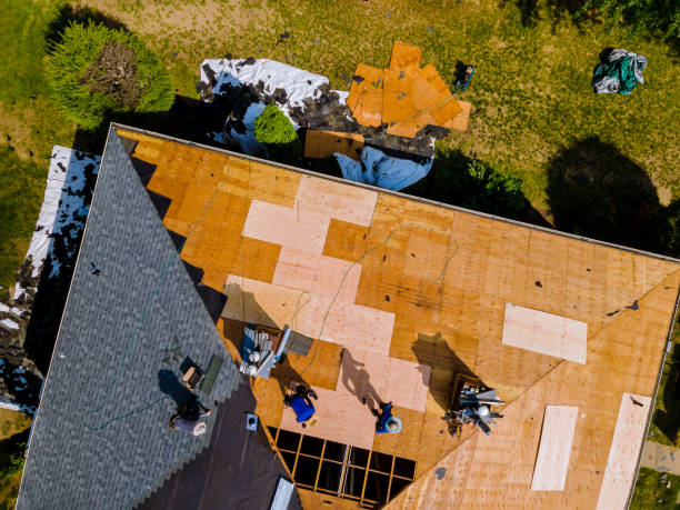 Quick and Trustworthy Emergency Roof Repair Services in Zephyrhills West, FL