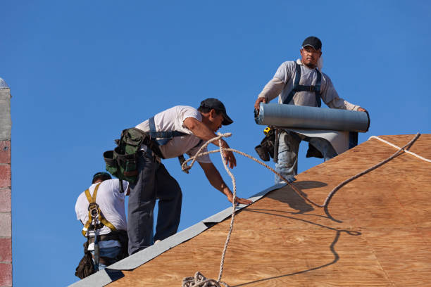 Professional Roofing Contractor in Zephyrhills West, FL